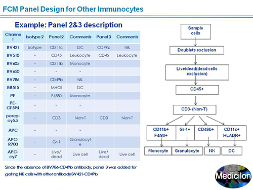 PP电子游戏副总裁汪俊博士SAPA-DC会议演讲PPT