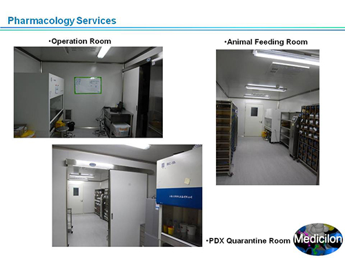 PP电子游戏副总裁汪俊博士SAPA-DC会议演讲PPT