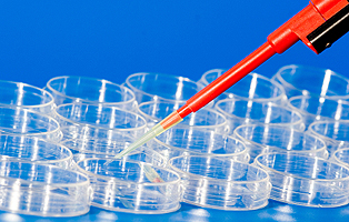 首页| PP电子游戏中国区官方网站