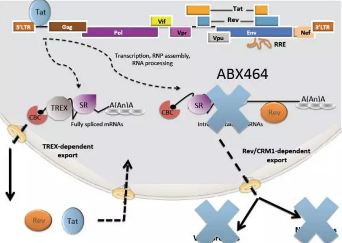 首页| PP电子游戏中国区官方网站