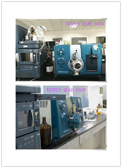 PP电子游戏幼分子仿造药生物分析部门仪器