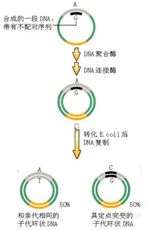 首页| PP电子游戏中国区官方网站