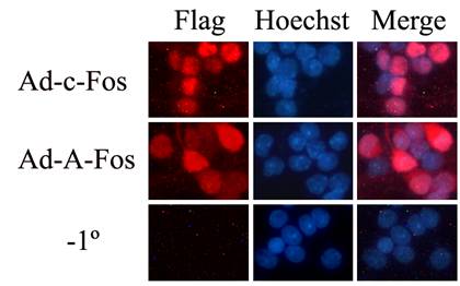 首页| PP电子游戏中国区官方网站