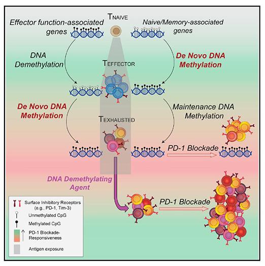首页| PP电子游戏中国区官方网站