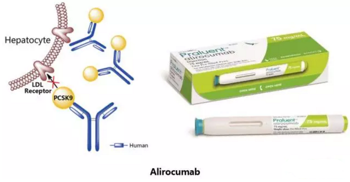 首页| PP电子游戏中国区官方网站