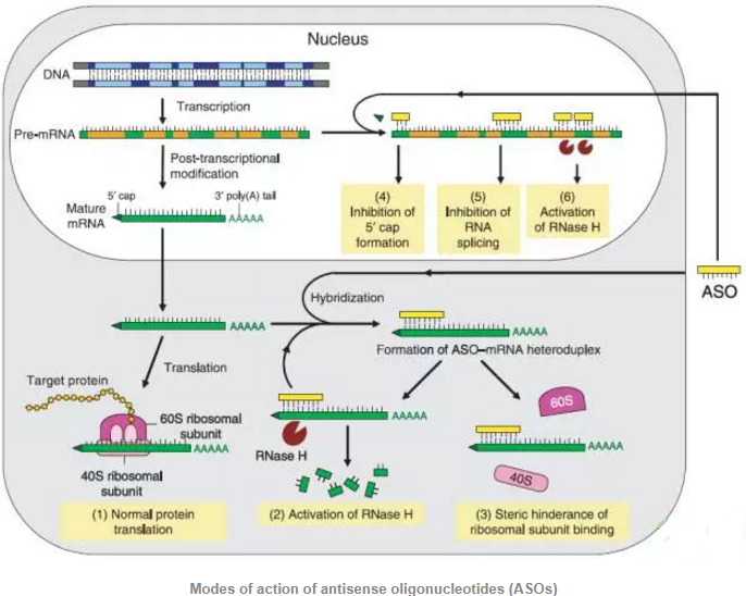首页| PP电子游戏中国区官方网站