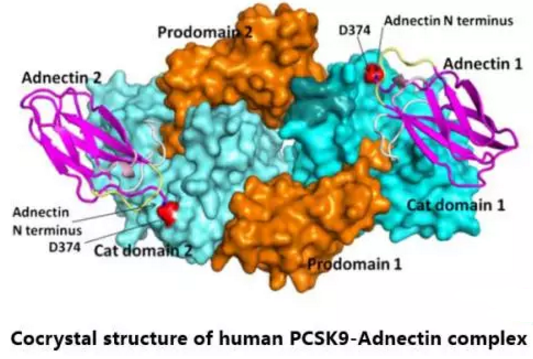 首页| PP电子游戏中国区官方网站