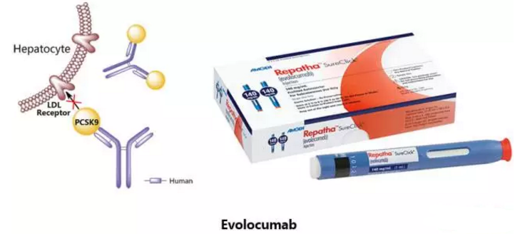 首页| PP电子游戏中国区官方网站