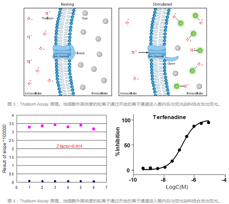 首页| PP电子游戏中国区官方网站