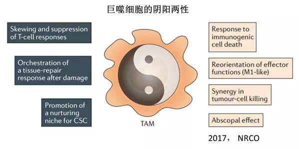 首页| PP电子游戏中国区官方网站