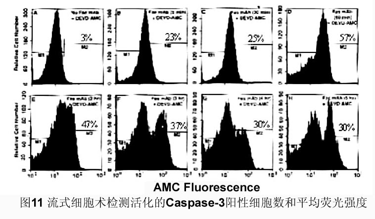 首页| PP电子游戏中国区官方网站