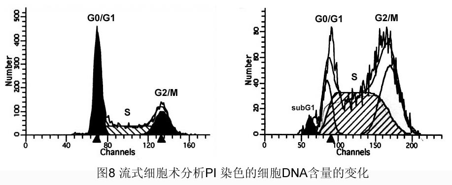 首页| PP电子游戏中国区官方网站