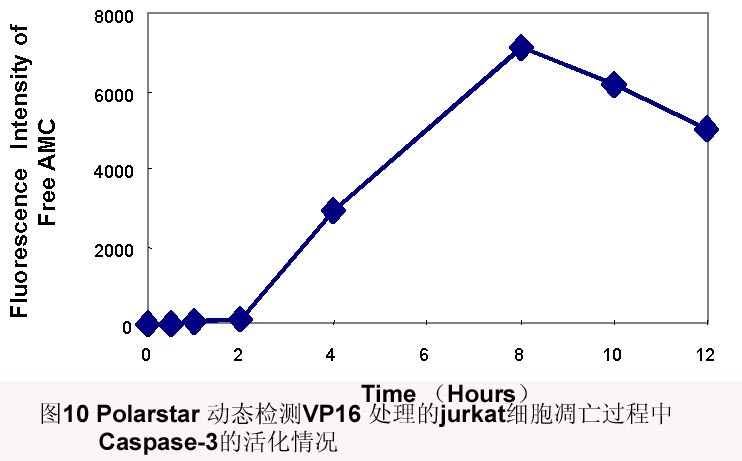 首页| PP电子游戏中国区官方网站