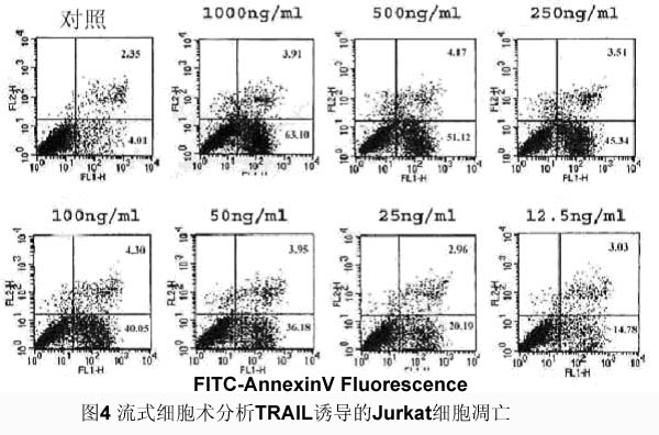 首页| PP电子游戏中国区官方网站