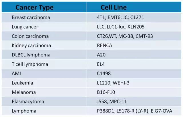 首页| PP电子游戏中国区官方网站