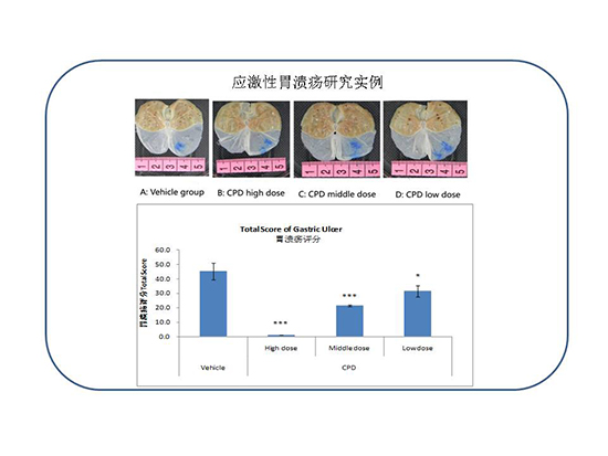 首页| PP电子游戏中国区官方网站