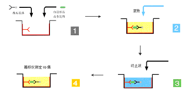 首页| PP电子游戏中国区官方网站