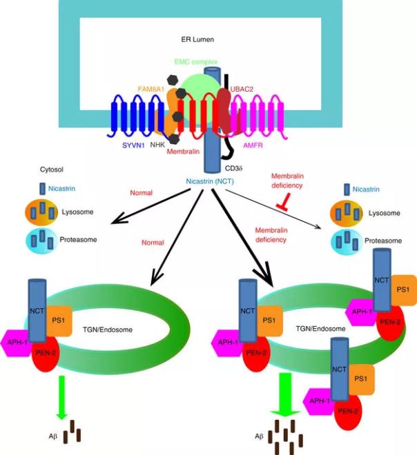 首页| PP电子游戏中国区官方网站