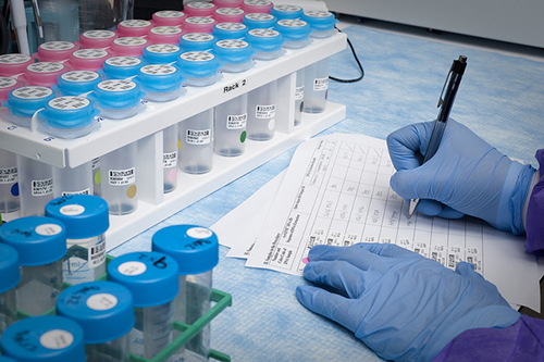 大浪淘沙快者胜！已实现BE大种类谁主战场