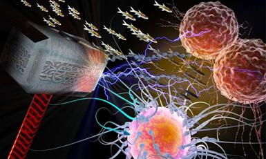 首页| PP电子游戏中国区官方网站