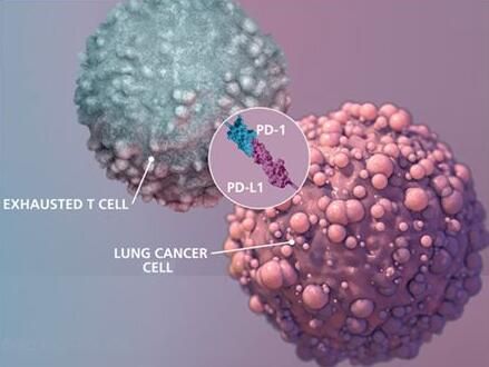 2017年度巨献：癌症免疫疗法沉磅级钻研解读