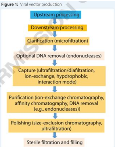 首页| PP电子游戏中国区官方网站
