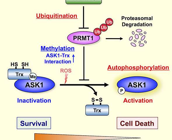 首页| PP电子游戏中国区官方网站