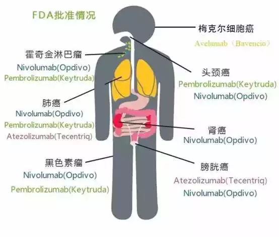 首页| PP电子游戏中国区官方网站
