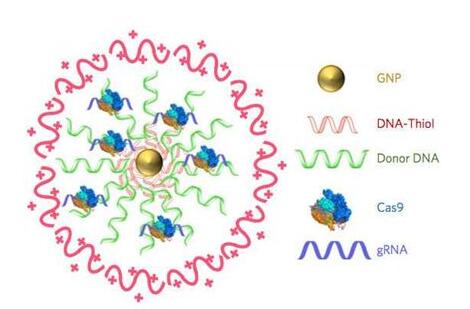 首页| PP电子游戏中国区官方网站