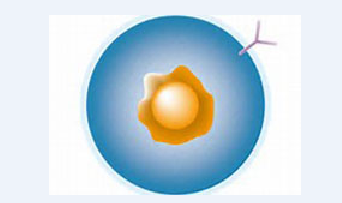 美国首例CRISPR抗癌人体试验即将发展