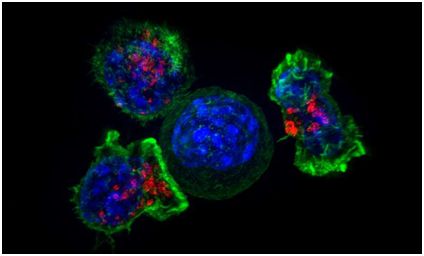 首页| PP电子游戏中国区官方网站