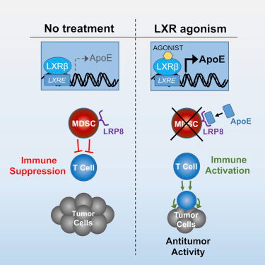 首页| PP电子游戏中国区官方网站