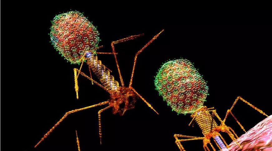 首页| PP电子游戏中国区官方网站