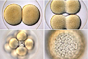 首页| PP电子游戏中国区官方网站