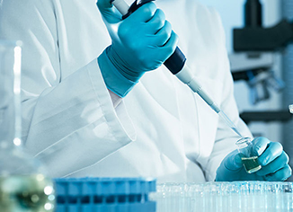 钻研发现肠路短缺一种免疫蛋白会导致代谢错乱