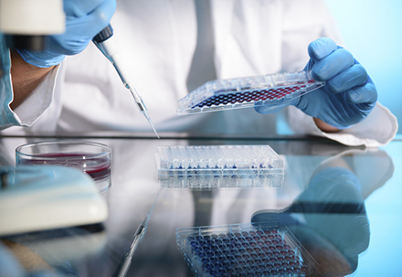 289目录国内特有种类一致性评价抱团才有戏？