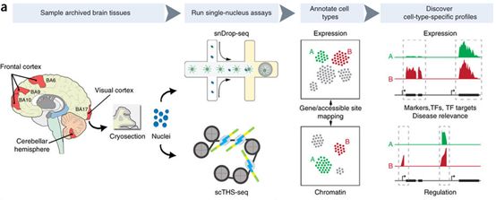 首页| PP电子游戏中国区官方网站