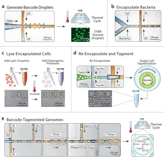 首页| PP电子游戏中国区官方网站