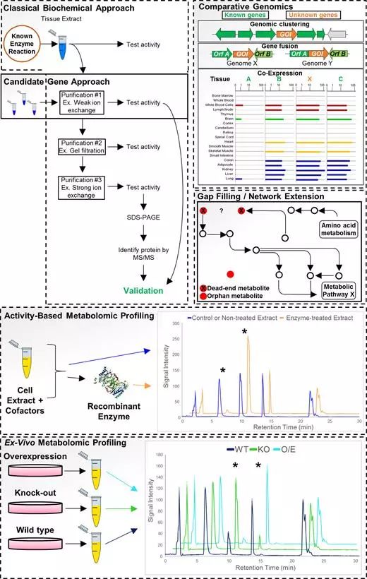 首页| PP电子游戏中国区官方网站