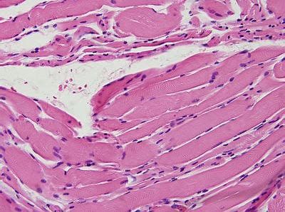 首页| PP电子游戏中国区官方网站