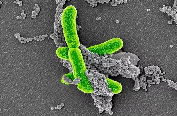 首页| PP电子游戏中国区官方网站