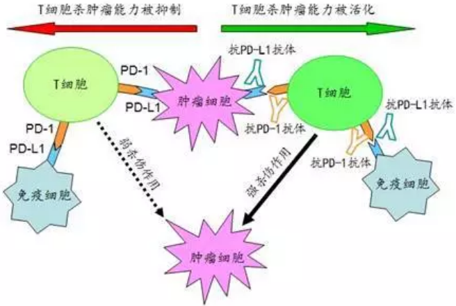 首页| PP电子游戏中国区官方网站