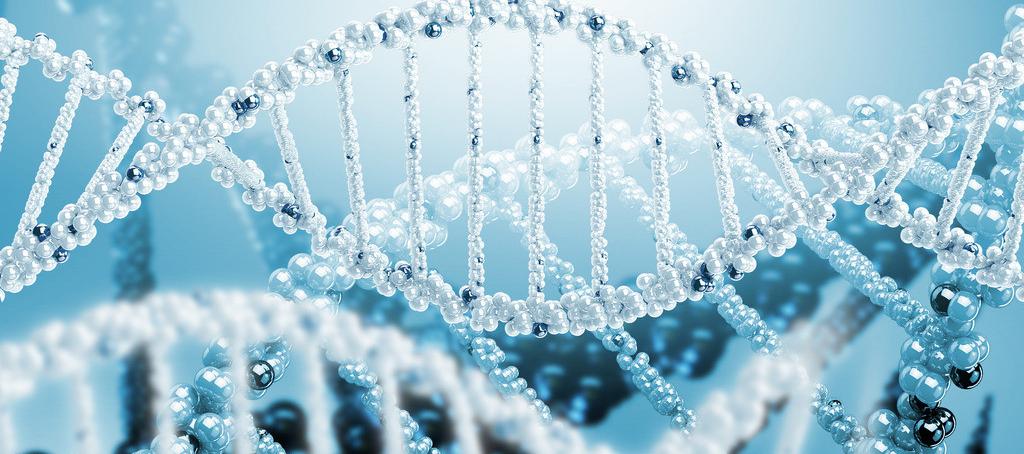 浅谈PP电子游戏抗体药物PK分析步骤学设计的思考重点