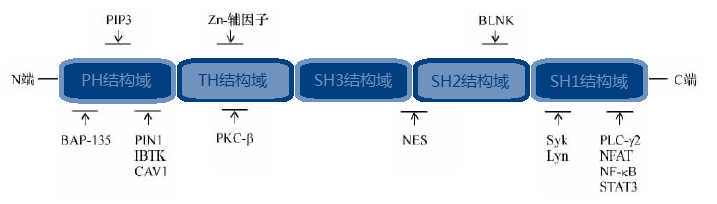 首页| PP电子游戏中国区官方网站