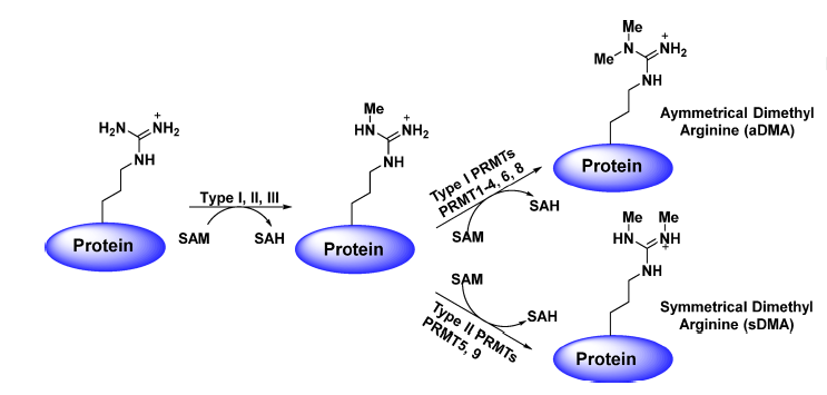 首页| PP电子游戏中国区官方网站