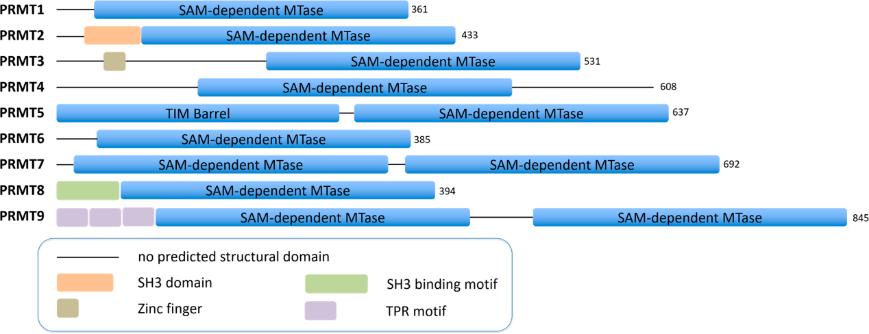 首页| PP电子游戏中国区官方网站