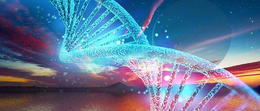 首页| PP电子游戏中国区官方网站