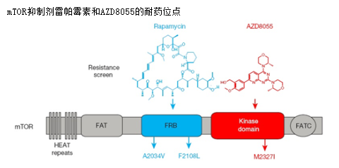 首页| PP电子游戏中国区官方网站