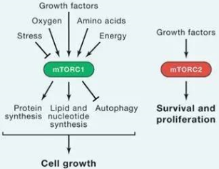 首页| PP电子游戏中国区官方网站