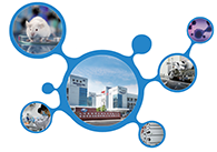 科创板首家CRO企业PP电子游戏获准注册